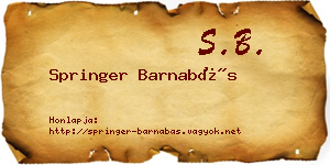 Springer Barnabás névjegykártya